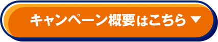 キャンペーン概要はこちら