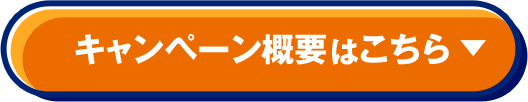 キャンペーン概要はこちら