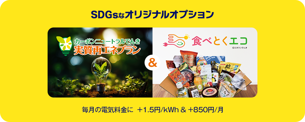 SDGsなオリジナルオプション 毎月の電気料金に ＋1.5円/kWh & +850円/月