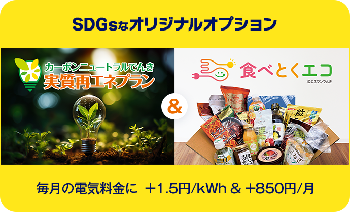 SDGsなオリジナルオプション 毎月の電気料金に ＋1.5円/kWh & +850円/月