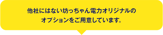 他社にはない坊っちゃん電力オリジナルのオプションをご用意しています。