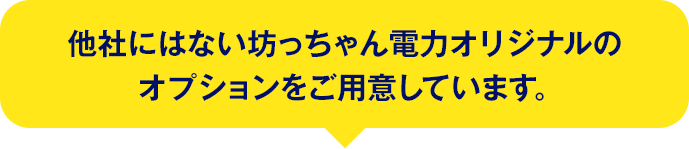 他社にはない坊っちゃん電力オリジナルのオプションをご用意しています。