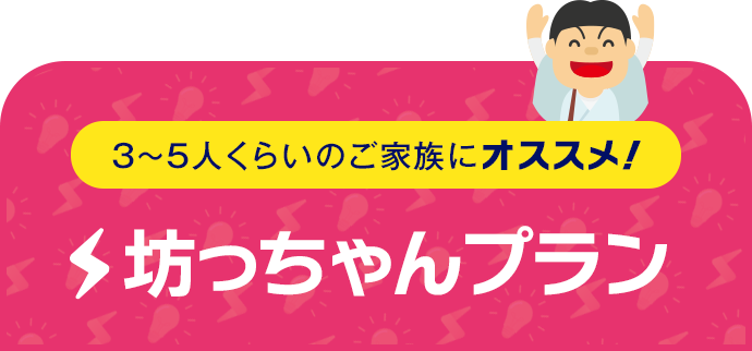 3～5人くらいのご家族にオススメ！ 坊っちゃんプラン