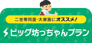 二世帯同居・大家族にオススメ！ ビッグ坊っちゃんプラン